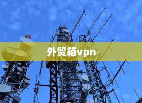 外贸箱vpn